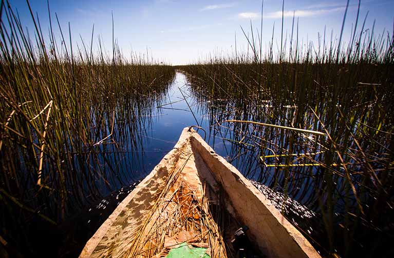 Voyage Botswana