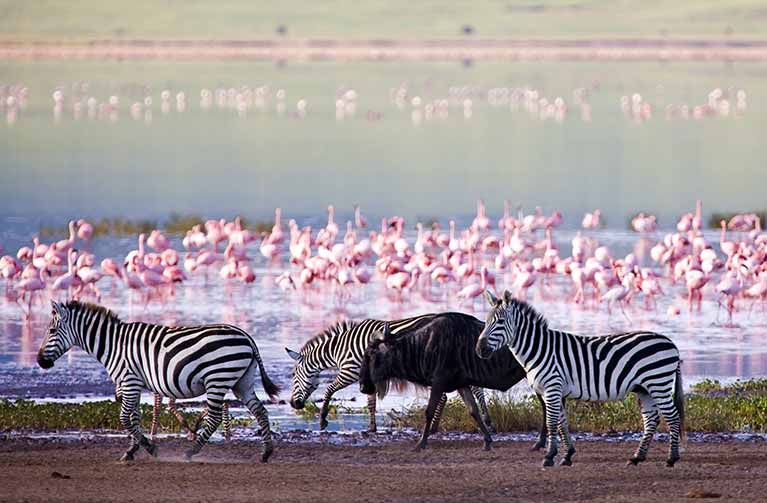 Voyage Tanzanie