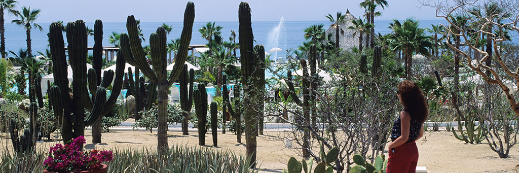 Todos Santos