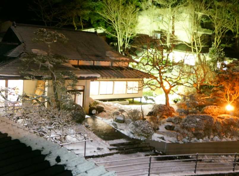 Hotel-Ryokan Musashibo