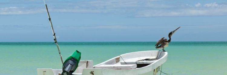 Isla Holbox
