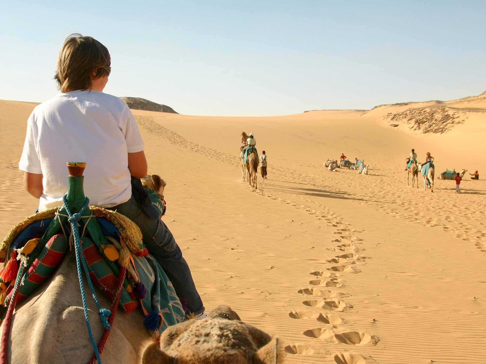 Petits et grands explorateurs au pays des Pharaons