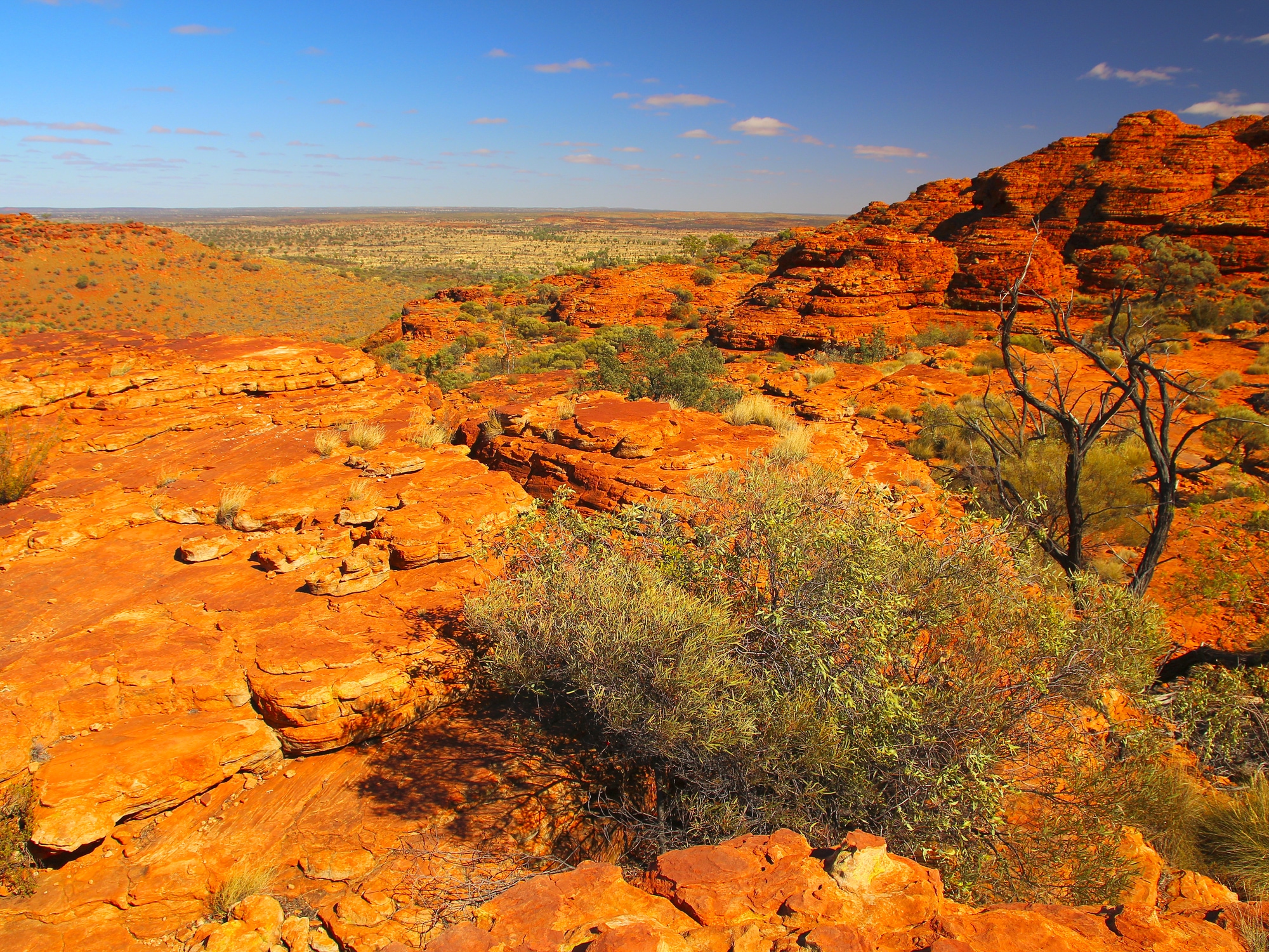 L'Australie, Grandeur Nature