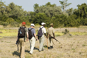 Safari à pied - Zambie-2