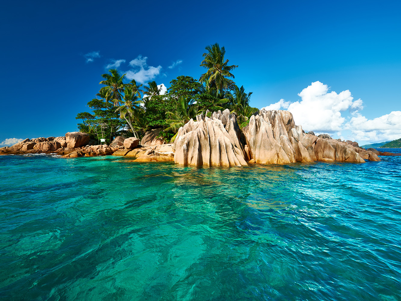 Florilège seychellois