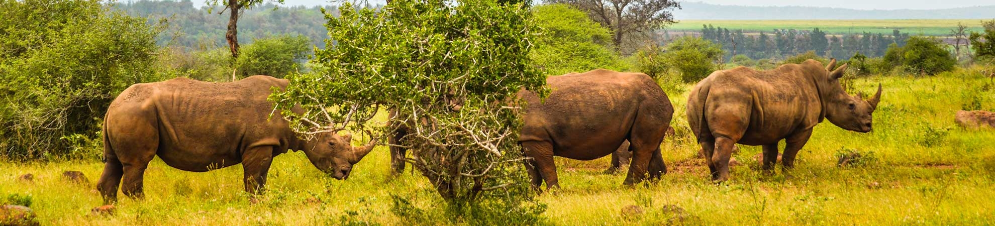 Voyage Marloth Park