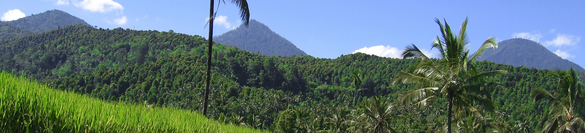 Voyage Munduk