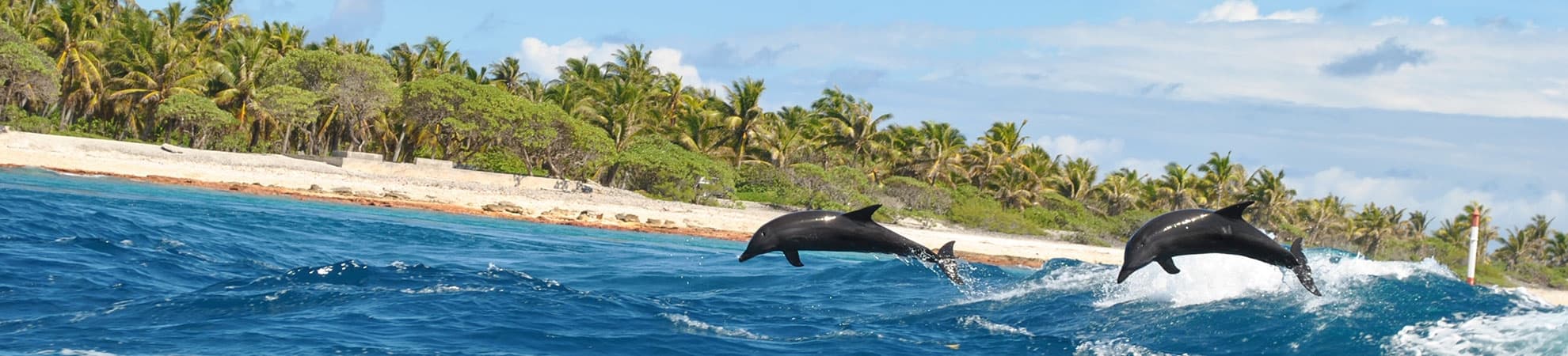 Voyage Rangiroa