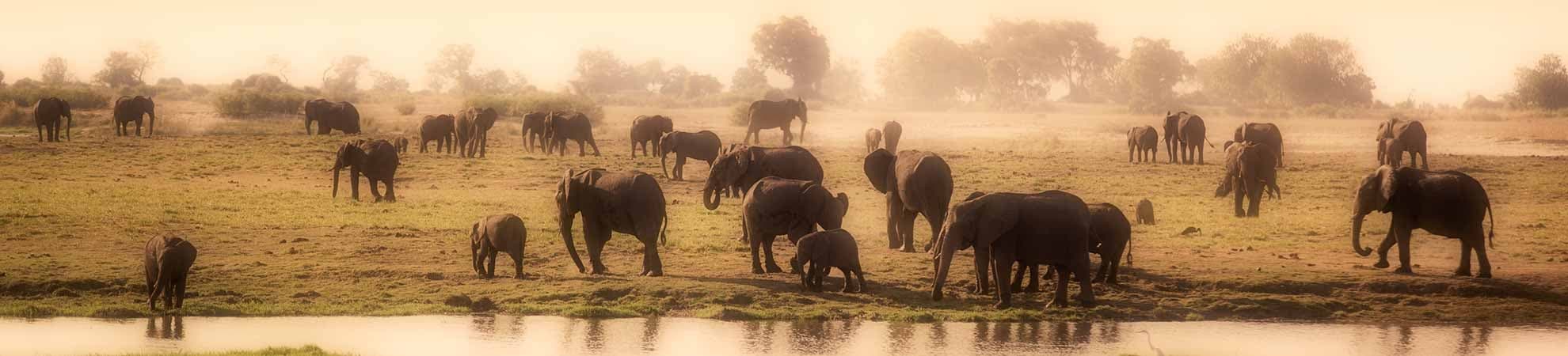 voyage afrique