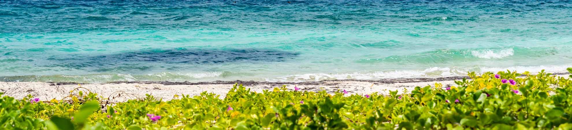 Voyage Ocean Cay