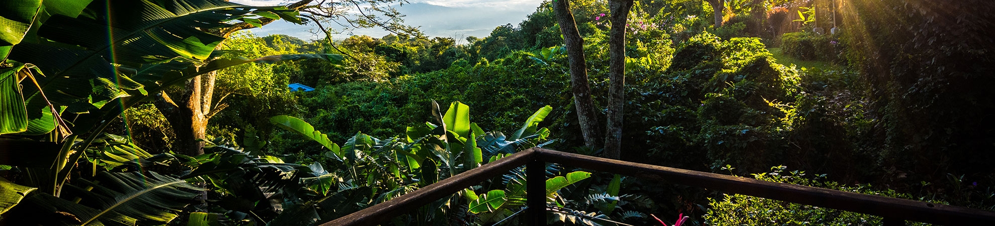 Voyage Pacuare - Costa Rica