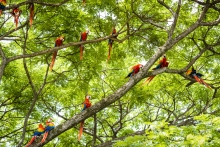 Voyage sur-mesure costarica