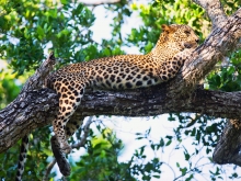 Voyage sur-mesure srilanka