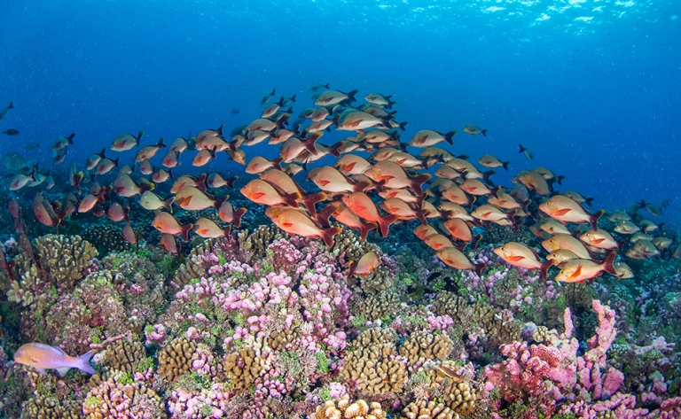 Envol pour Rangiroa