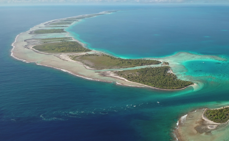 À l’horizon, Tikehau !