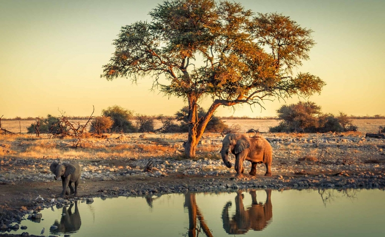 Zambèze, majestueux fleuve d’Afrique australe