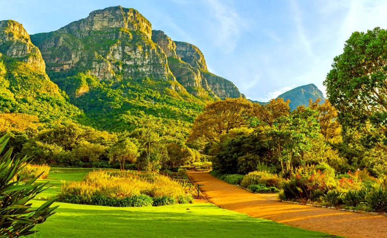 Splendeurs du Cap et escapade aux jardins de Kirstenbosch