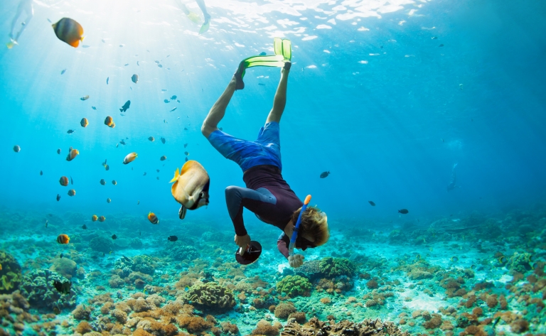 Merveilles de la Grande Barrière de Corail