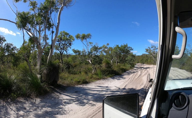 Découverte de K’Gari (Fraser Island) en 4x4