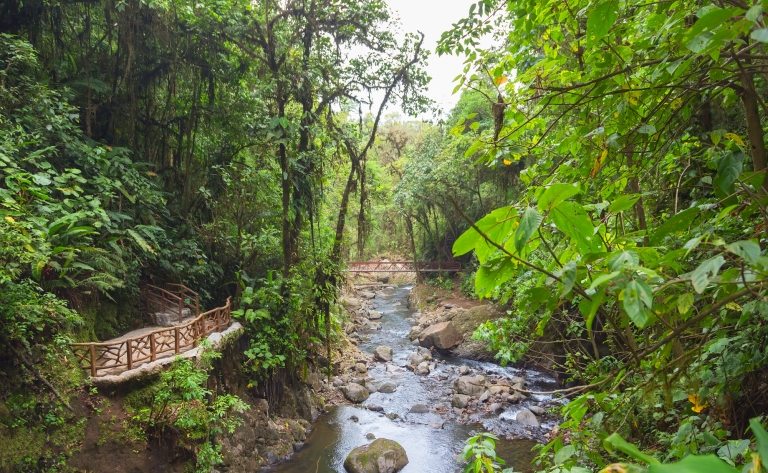 Immersion dans le parc national Corcovado 