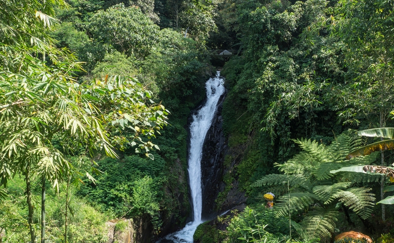 Immersion dans le nord de Bali