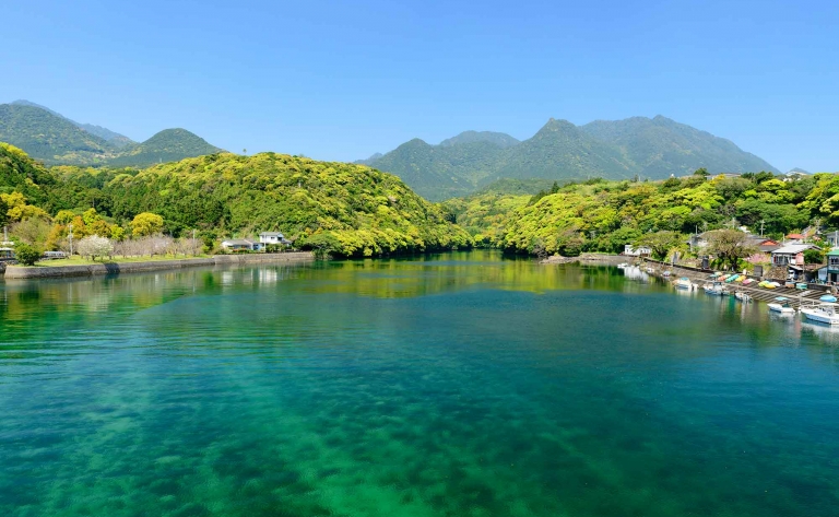 Douce parenthèse à Yakushima