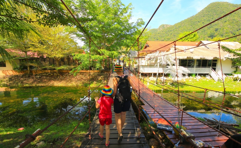 Nature et cultures des Cameron Highlands