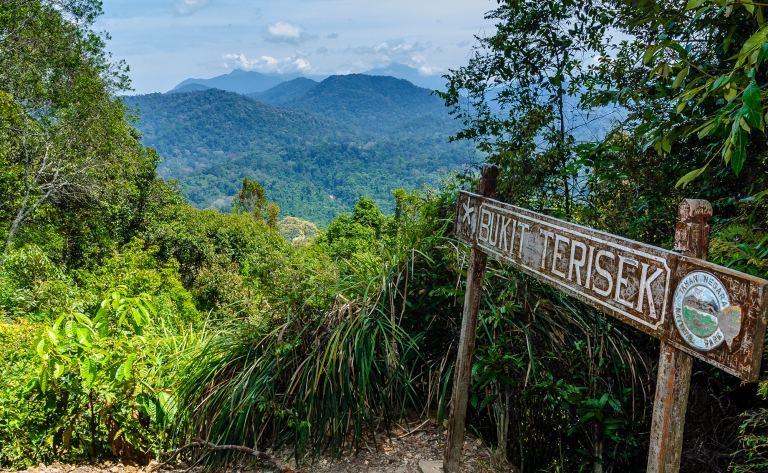 Et là… Le Taman Negara !