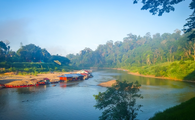 Dans la jungle du Taman Negara
