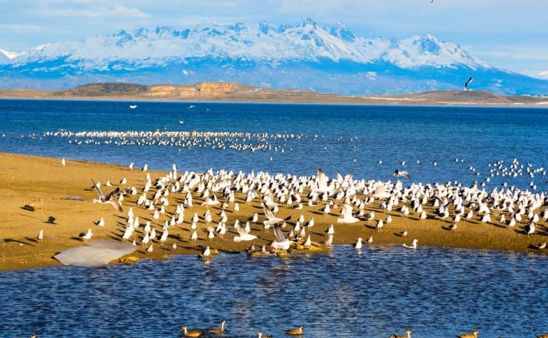 Ushuaïa et le Canal de Beagle en hélico