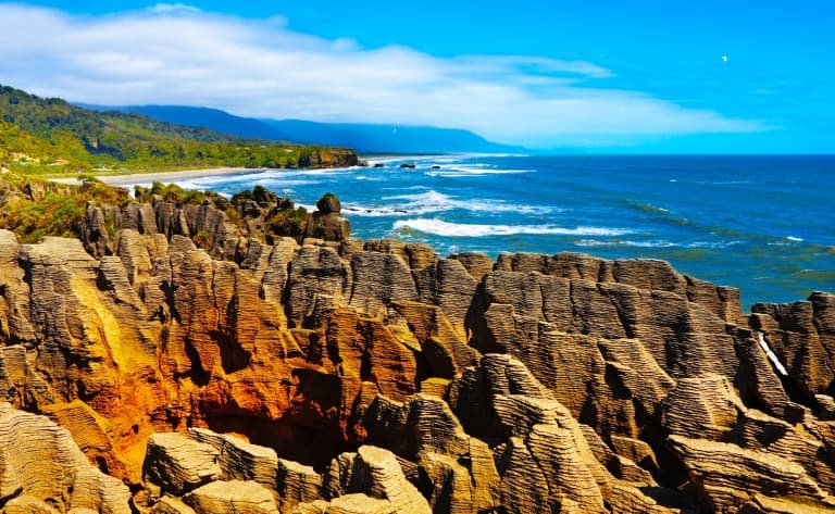 Découvertes naturelles au parc national Abel Tasman