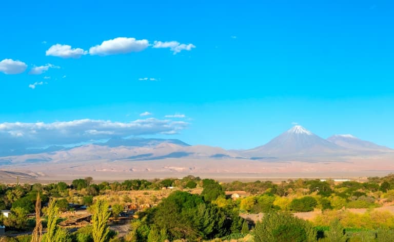 Une oasis au milieu du désert