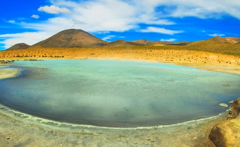 Parc national de Las Vicunas