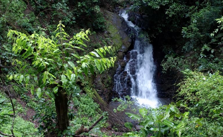 Dernier jour au Costa Rica et retour en France