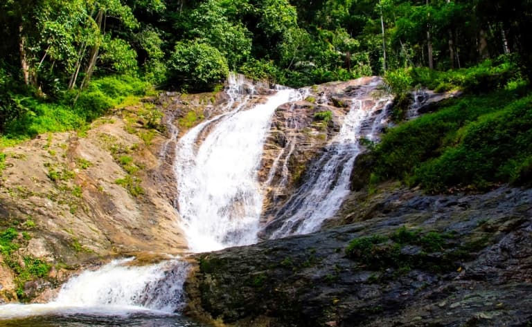 Sur la Route des Cameron Highlands