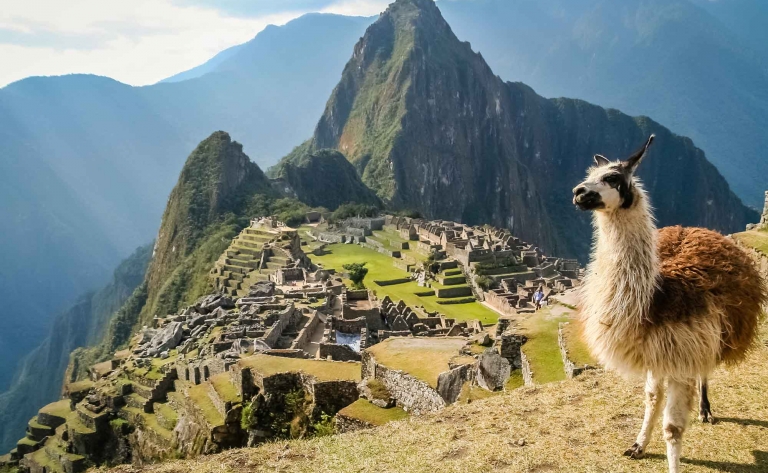 La cité enchantée du Macchu Picchu