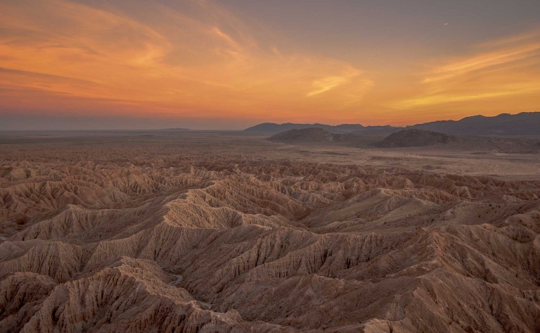 Parc d’Anza-Borrego : entre désert et oasis 