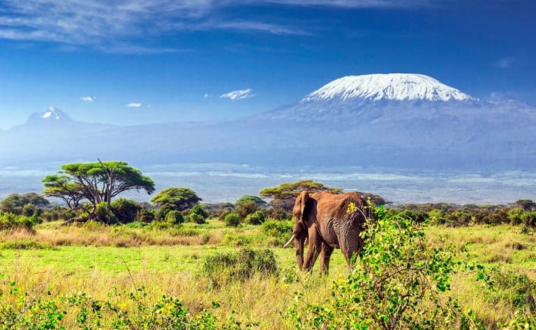 Escale inoubliable à Amboseli face au Kilimandjaro