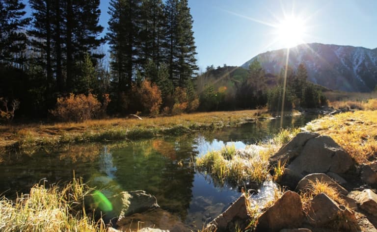 Le parc national de Yellowstone : ode à une Nature majestueuse