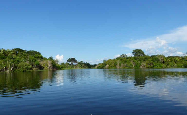 Abacate, Ilha Ituquara, détroit de Brèves