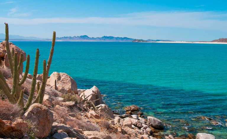 Entre La Paz et Isla Espiritu Santo