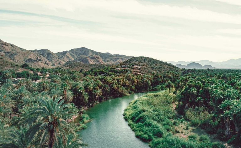 Reconnexion avec la nature dans la réserve de El Vizcaíno