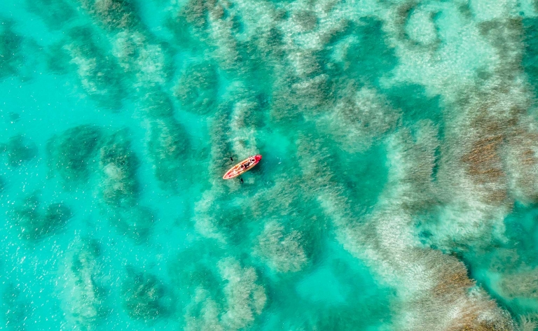 Bacalar : kayak, paddle-yoga et temazcal