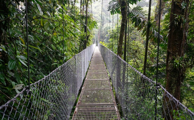 Ponts suspendus d'Arenal