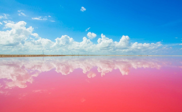 Rio Lagartos et las Lagunas Coloradas