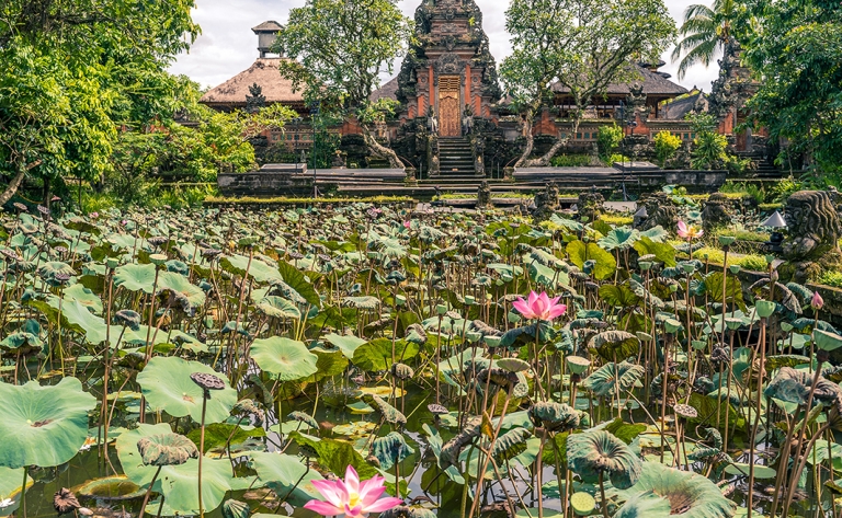 Yoga, culture et gastronomie à Ubud