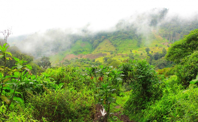 Dans la vallée de Boquete