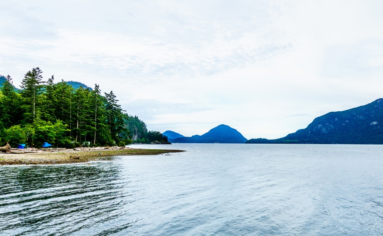 Croisière en zodiac dans la baie de Howe Sound (2h)