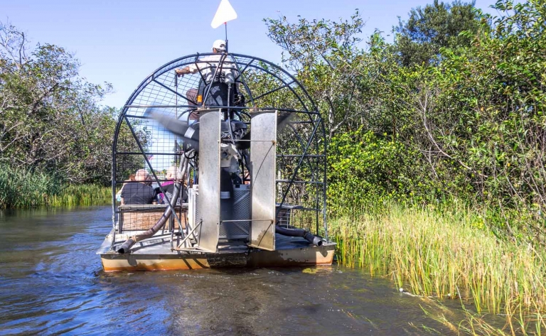 Tour en airboat (hydroglisseur) dans les Everglades