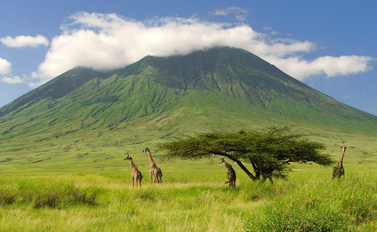 Safari de charme en avion-taxi!
